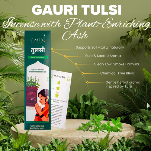 Gauri Incense For Plants | Holy Basil | Pack Of Two