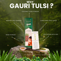 Gauri Incense For Plants | Holy Basil | Pack Of Two